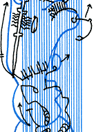 Ausschnitt aus der Tageszeichnung 2007-07-14