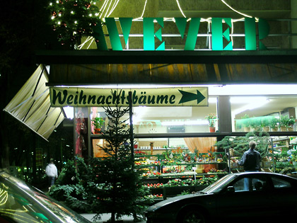 Weihnachtsbäume