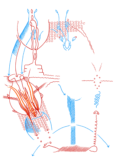 Hannes Kater - Auftragszeichnung066_2 - 381 x 539 Pixel